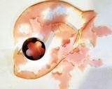 私のズボラな時短型抜き法♪作り方1写真