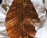 山芋の明太子マヨチーズ焼き作り方3写真