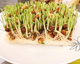 ちくわと豆苗和えつまみ作り方5写真