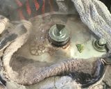 手作り味噌(三河の豆味噌)作り方10写真