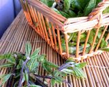 山菜・木の芽(コシアブラ)おひたし♪春味作り方6写真
