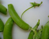 スナップえんどう＋ツナマヨ作り方1写真