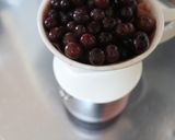 ブルーベリーチェッロ＊スピリタスで作り方3写真