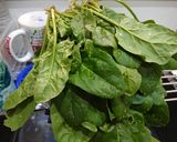 箸がとまらないほうれん草♪作り方1写真