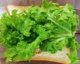 わさび菜とツナのサンドイッチ作り方3写真