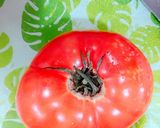 材料4つだけ！簡単すぎる絶品カレー作り方4写真