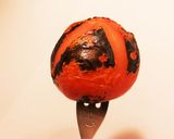 新たまドレと冷しトマトのサラダ作り方4写真