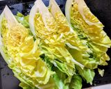 春キャベツのワンパン煮込みハンバーグ風作り方1写真