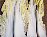 ロール白菜のトマトスープ作り方1写真