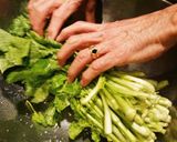 秘伝の仙人シゲちゃん直伝❗加茂菜の浅漬け作り方2写真
