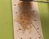 ザラメがザク旨〜☆簡単ザラメパイ作り方7写真