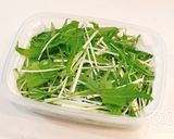長持ち！水菜の冷蔵、冷凍保存方法作り方3写真