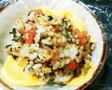 犬ご飯　プライムオムライス作り方6写真