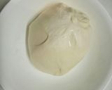 白神こだま酵母でナン作り方7写真
