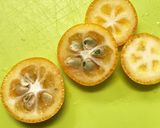 目からウロコ！な金柑の種抜き♪作り方4写真