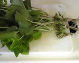 思わず涙★わさび漬け作り方1写真