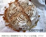 酒粕酵母中種作り方10写真