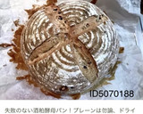 酒粕酵母中種作り方10写真