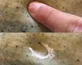 美しいマーブル模様*よもぎあん食パン*作り方18写真
