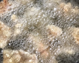 ほっか○か亭ののり弁風弁当（から揚げ）作り方6写真