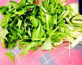 だしマヨ醤油でチャチャっと♪水菜の炒め作り方1写真
