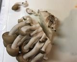 うちのカレー作り方15写真