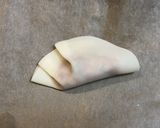 白菜大量消費！白菜・豆腐入り餃子作り方13写真