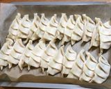 白菜大量消費！白菜・豆腐入り餃子作り方15写真