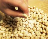 レクチンフリー☆手作り味噌作り方4写真