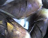 タケノコの下処理方法作り方5写真
