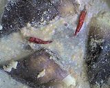 タケノコの下処理方法作り方6写真