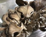 激辛!きくらげとまいたけの卵炒め作り方3写真