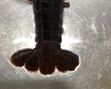 ザリガニの中華風蒸し焼き(麻辣小龍蝦)作り方3写真