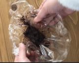 材料３つ♡濃厚生チョコ♡乳製品卵不使用作り方3写真
