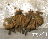 5分で出来る即席カレー作り方4写真