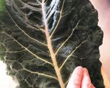 ケールと小松菜の蒸し煮作り方1写真