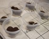 大人スパイシーなチョコミントブリオッシュ作り方18写真