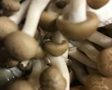暖まる白菜と魚介の味噌鍋作り方2写真