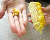 我が家のとうもろこし。作り方5写真