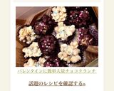 バレンタインに♫簡単大量チョコクランチ作り方11写真