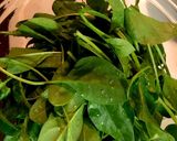 ほうれん草とわかめのナムル風作り方1写真