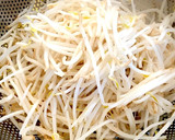 塩昆布で♪ もやしと豆苗の和風ナムル♡作り方1写真