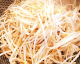塩昆布で♪ もやしと豆苗の和風ナムル♡作り方2写真