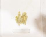 おつまみキュウリ☆海苔生姜和え作り方2写真