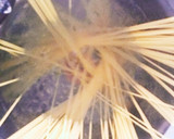 きのこたっぷり ♪ 簡単和風パスタ作り方2写真