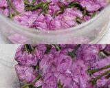 桜の花の塩漬け作り方5写真