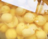 蓮の実のシロップ煮を作る実験作り方5写真
