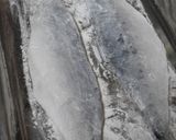 バターが香る☆魚のムニエル作り方5写真