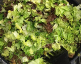 大豆挽き肉とセロリとレタスの甘辛炒め作り方7写真