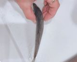 あじ 皮引き 捌き方 初心者さん向き作り方4写真
